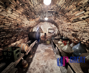 Pozemok s nádherným výhľadom na Skalicu – vinohrad s vínnym sklepom, presovňou, ovocnými stromami a možnosťou výstavby.