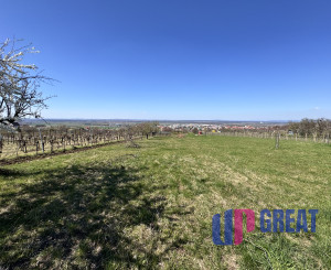 Pozemok s nádherným výhľadom na Skalicu – vinohrad s vínnym sklepom, presovňou, ovocnými stromami a možnosťou výstavby.