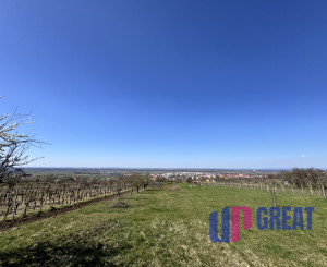 Pozemok s nádherným výhľadom na Skalicu – vinohrad s vínnym sklepom, presovňou, ovocnými stromami a možnosťou výstavby.