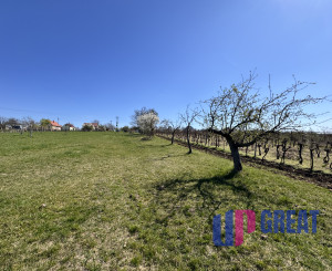 Pozemok s nádherným výhľadom na Skalicu – vinohrad s vínnym sklepom, presovňou, ovocnými stromami a možnosťou výstavby.