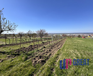 Pozemok s nádherným výhľadom na Skalicu – vinohrad s vínnym sklepom, presovňou, ovocnými stromami a možnosťou výstavby.