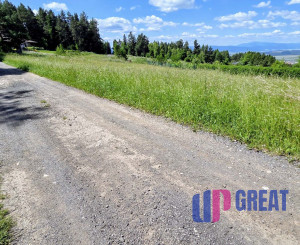 Pozemok NA PREDAJ v obci Uloža (okres Levoča) 1000m2