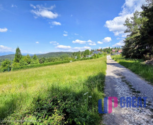 Pozemok NA PREDAJ v obci Uloža (okres Levoča) 1000m2