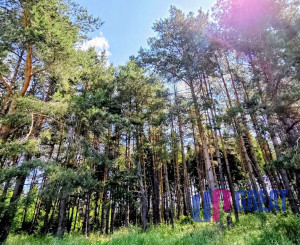 Pozemok NA PREDAJ v obci Uloža (okres Levoča) 1000m2