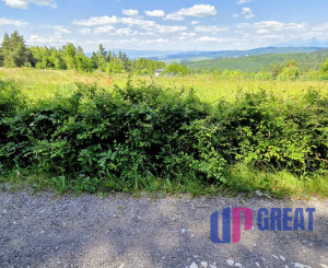 Pozemok NA PREDAJ v obci Uloža (okres Levoča) 1000m2