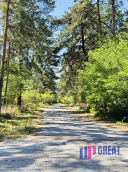 Na predaj 3-izbový rodinný dom – Gbely, časť Farské, okr. SKALICA.