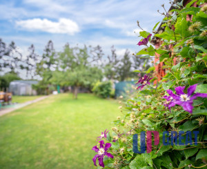 PREDAJ penziónu s rodinným bývaním, Trebatice, okr. Piešťany