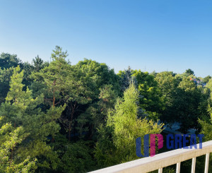 Na prenájom zrekonštruovaný 3-izbový byt v Dunajskej Strede