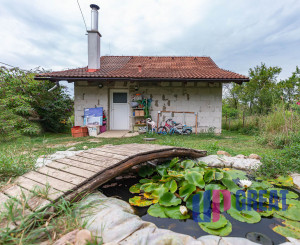 🏡 PREDAJ rodinného domu s veľkým pozemkom – Hrušové