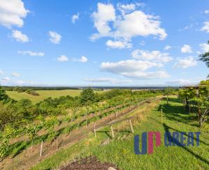Na predaj váš súkromný kúsok vinohradníckeho raja