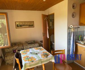 Romantická záhrada s panoramatickým výhľadom na Modru 🌿