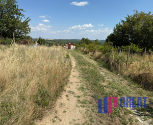 Romantická záhrada s panoramatickým výhľadom na Modru 🌿