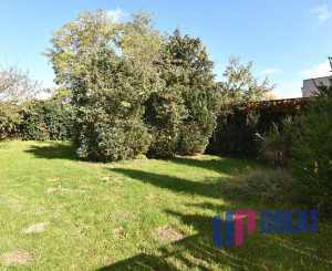 Na predaj rodinný dom Malé Leváre