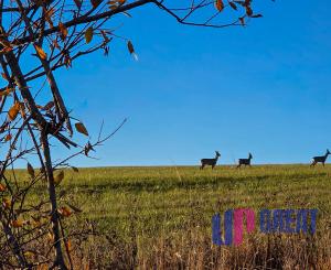 LUXUSNÉ zrubové chalupy s výhľadom na Kriváň (obec Východná)