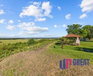 Na prenájom výnimočný vinohrad v Lozorne