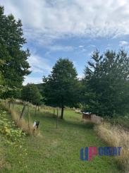 Na prenájom výnimočný vinohrad v Lozorne