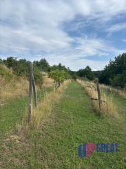 Na prenájom výnimočný vinohrad v Lozorne