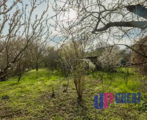 Na predaj rodinný dom v obci Nýrovce s veľkou záhradou