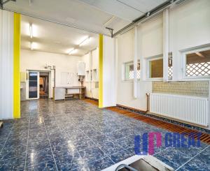 NA PREDAJ budovy s podnikateľským potenciálom, Nové Mesto nad Váhom