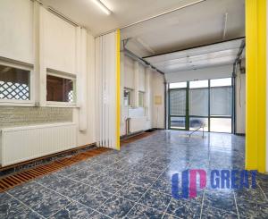 NA PREDAJ budovy s podnikateľským potenciálom, Nové Mesto nad Váhom