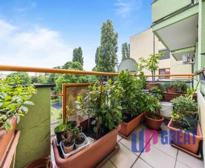 Na predaj nadštandardný 3-izbový byt v centre Dunajskej Stredy – 114 m²
