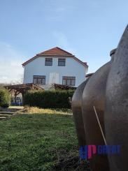 EXKLUZÍVNE NA PREDAJ — Vinohradnícky dom u sv. Urbana, Skalica.