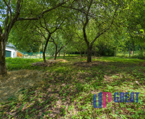 VEĽKÝ DOM, 2 422 m² POZEMKU A LES ZA ZÁHRADOU | HRACHOVIŠTE