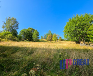 BRUTOVCE - pozemok (3.254m2) NA PREDAJ