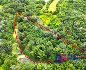 Pozemok 6029 m² – rekreačné využitie pri Bernolákove