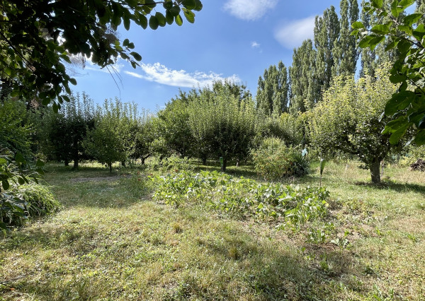 Krásna tichá záhrada s chatkou pri jazere Zlaté piesky