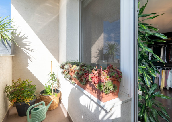 Hľadáte v  centre ŠAMORÍNA prekrásny kompletne prerobený 1,5 izbový byt s loggiou?