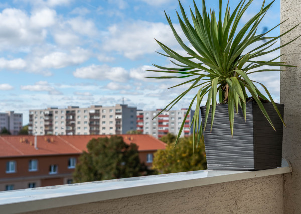 Hľadáte v  centre ŠAMORÍNA prekrásny kompletne prerobený 1,5 izbový byt s loggiou?