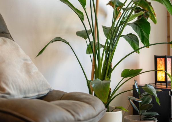 Hľadáte v  centre ŠAMORÍNA prekrásny kompletne prerobený 1,5 izbový byt s loggiou?