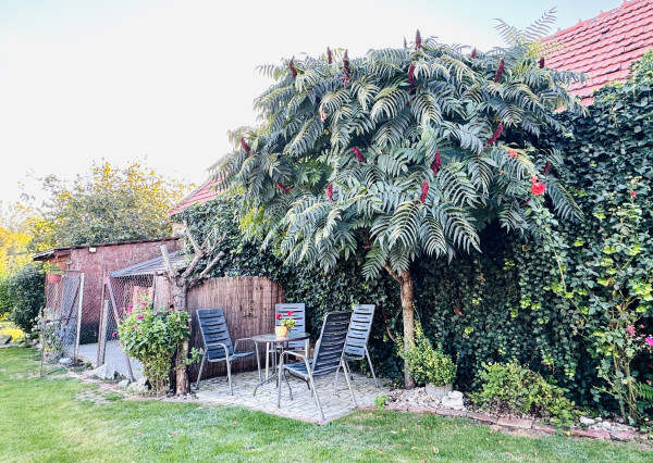 Na predaj rodinný dom v obci Prietržka, okr.SKALICA