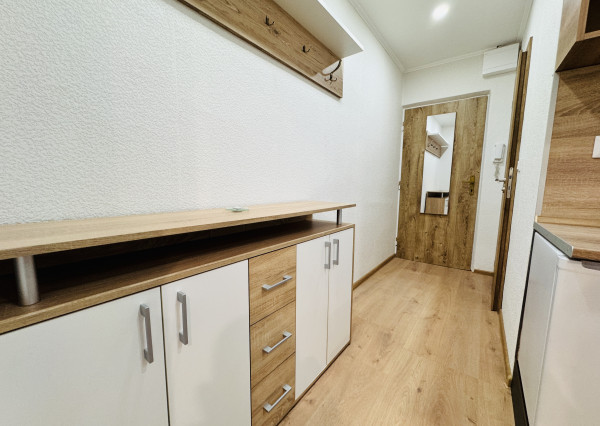 Na prenájom 1-izbový byt v okresnom meste Skalica