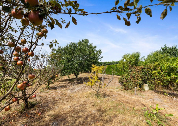 PREDANÉ - Poschodový rodinný dom v obci Horný Bar