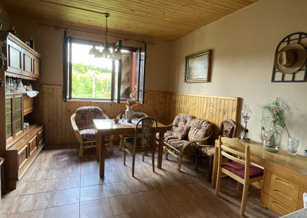 Vinohradnícky dom v obci Prietržka,okr.Skalica