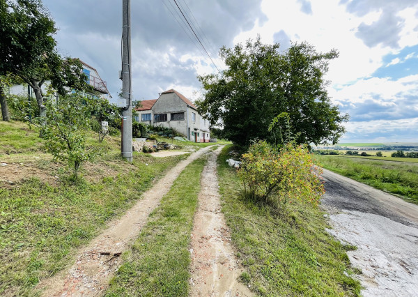 Vinohradnícky dom v obci Prietržka,okr.Skalica