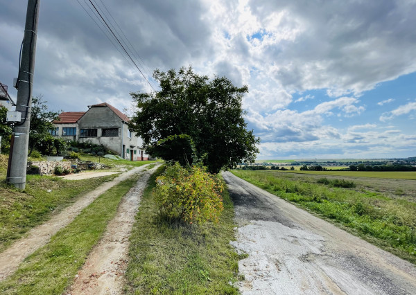 Vinohradnícky dom v obci Prietržka,okr.Skalica