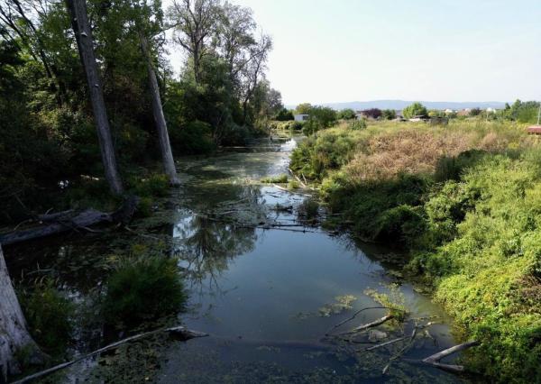 Jedinečný stavebný pozemok Bernolákovo - sukromie pri vode