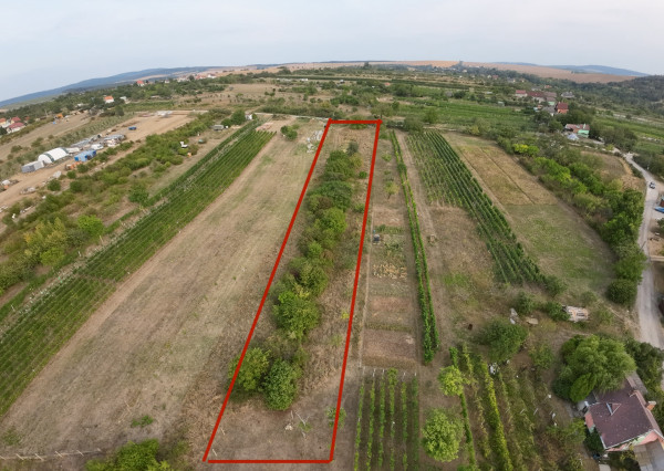 Predaj pozemku 2573 m2 na výstavbu vinohrad. domu, SKALICA.