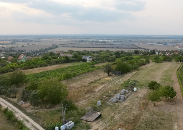 Predaj pozemku 2573 m2 na výstavbu vinohrad. domu, SKALICA.