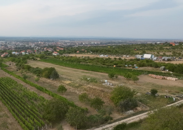 Predaj pozemku 2573 m2 na výstavbu vinohrad. domu, SKALICA.