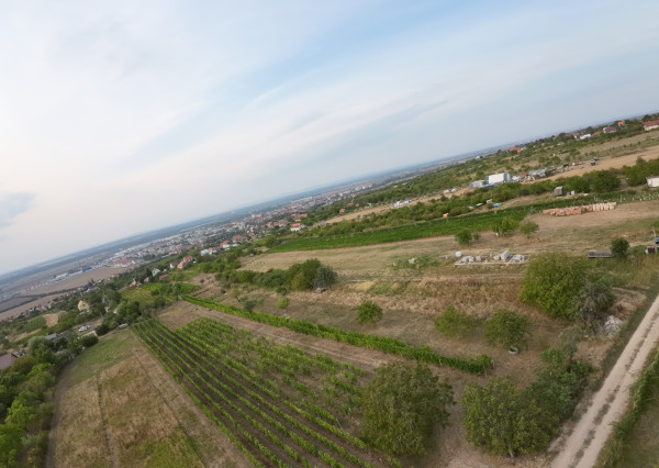 Predaj pozemku 2573 m2 na výstavbu vinohrad. domu, SKALICA.