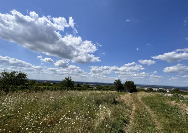 Predaj pozemku 2573 m2 na výstavbu vinohrad. domu, SKALICA.