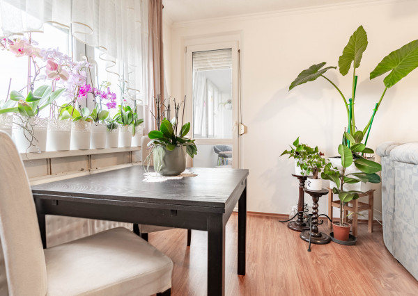 Na predaj 3 izbový byt, Dunajská ulica, Šamorín