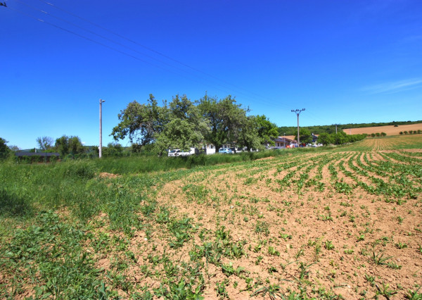 NA PREDAJ pozemok v Bošáci, možná budúca výstavba
