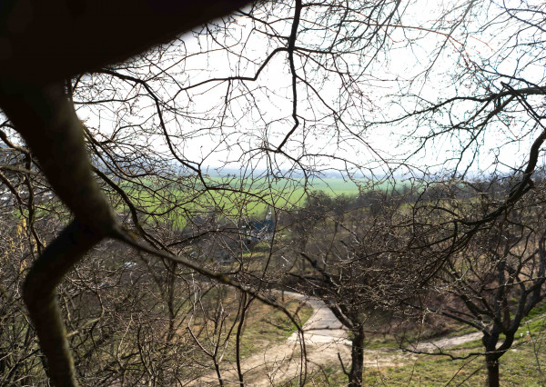 PREDAJ pozemku v Kálnici, k.ú. Beckov