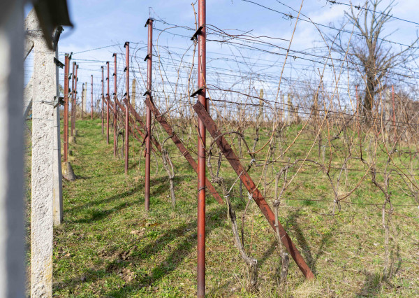 PREDAJ pozemku v Kálnici, k.ú. Beckov