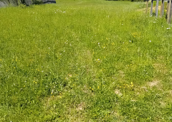 POZEMOK v obci LÚČKA na výstavbu chalupy